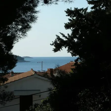 Whole In * Primošten